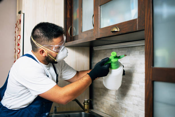 Best Wasp Removal Services  in Southern Gateway, VA