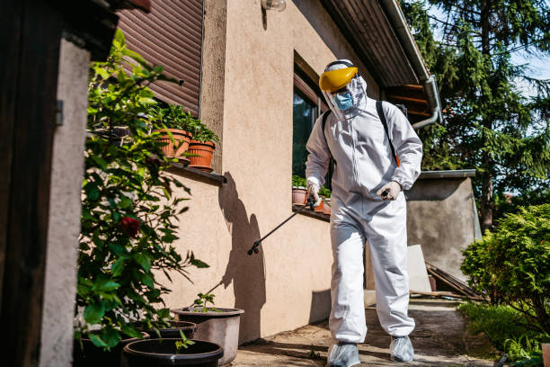 Best Cockroach Control Services  in Southern Gateway, VA