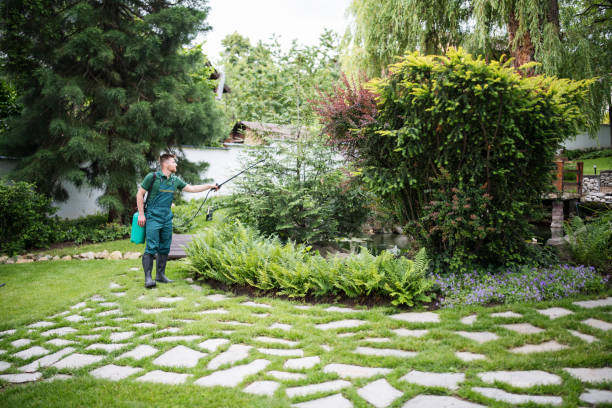 Best Best Pest Control Companies  in Southern Gateway, VA