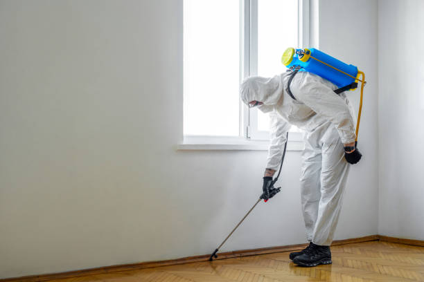 Best Best Pest Control Companies  in Southern Gateway, VA