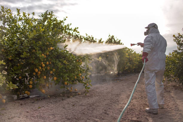 Best Pest Inspection Near Me  in Southern Gateway, VA