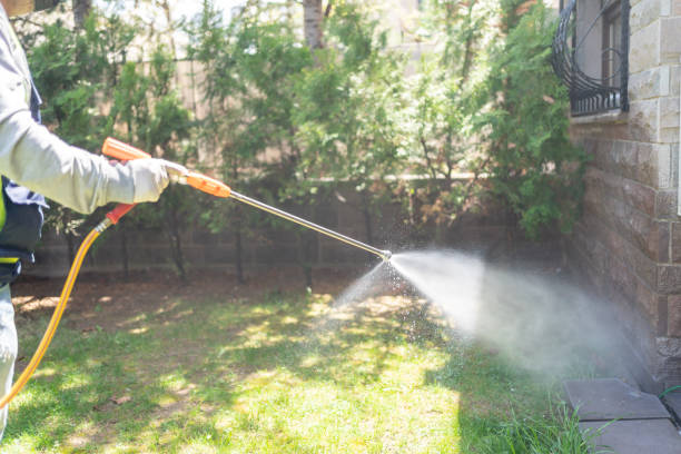 Best Pest Prevention Services  in Southern Gateway, VA