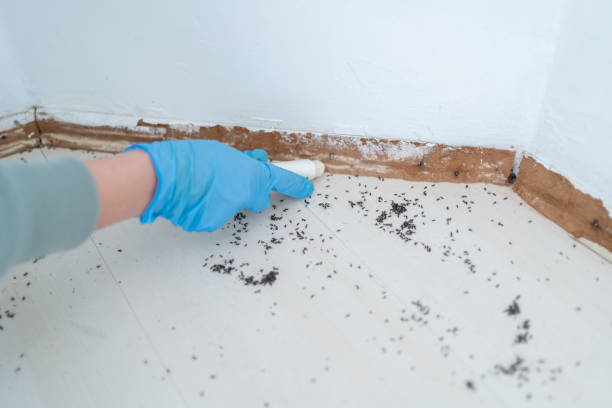 Best Pest Prevention Services  in Southern Gateway, VA