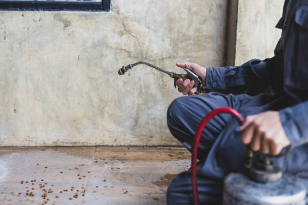 Best Pest Control Near Me in Southern Gateway, VA